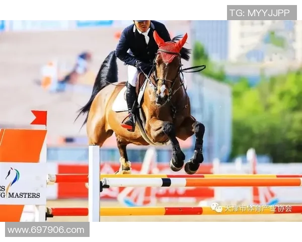 重庆网球队中路突破创新探索助力竞技水平提升之路