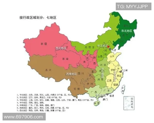 西安排球队个人能力分析与战术配合的深度探讨