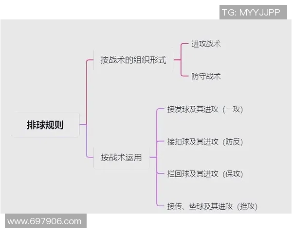 杭州排球队战术深度解析:从技术细节到团队协作的全面剖析 杭州排球队战术深度解析:从技术细节到团队协作的全面剖析